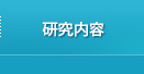研究内容